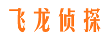 殷都侦探